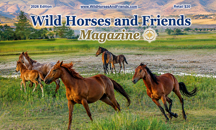 Wild horses running freely across green meadow landscape